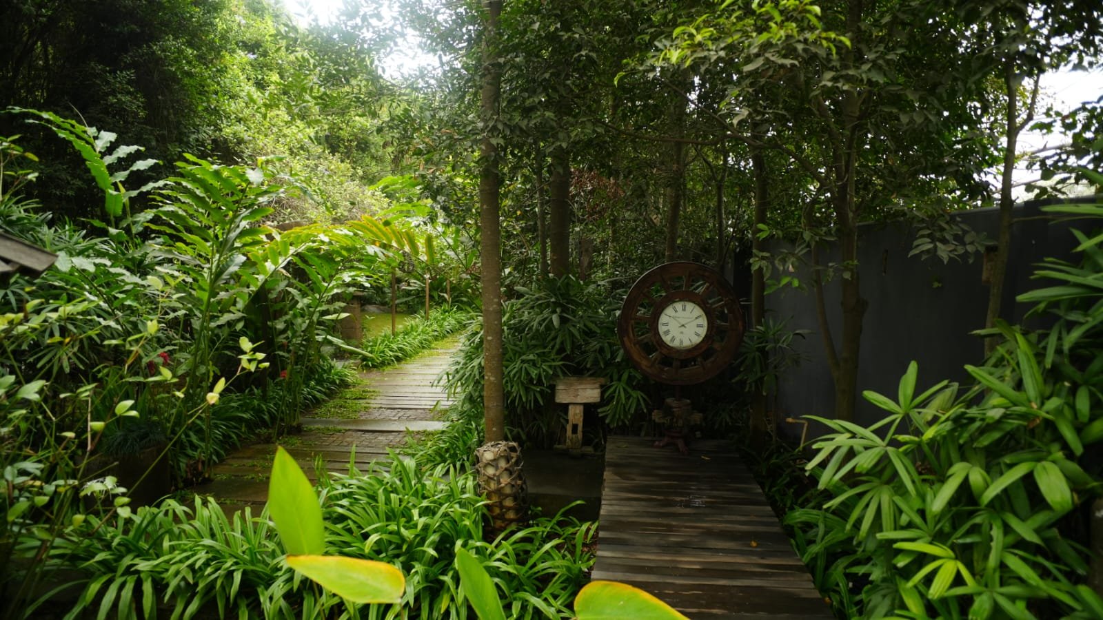 Baby Farms shoot space and event venue