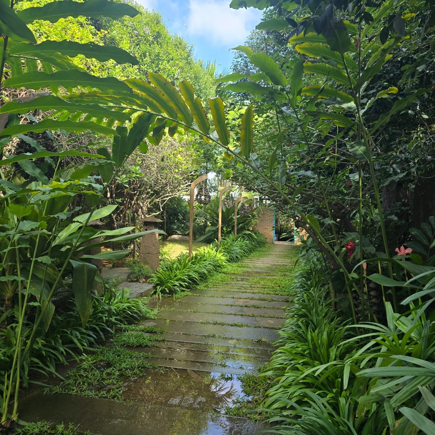 Baby Farms shoot space and event venue