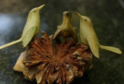 Birds