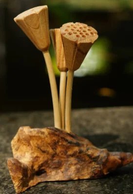 Lotus Seeds Stand