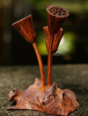 Lotus Seeds Stand