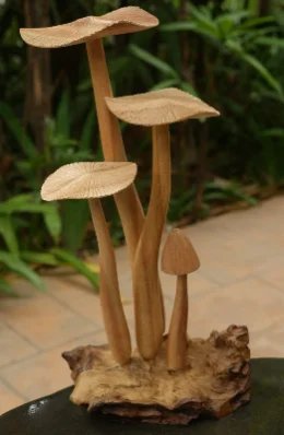 Mushroom, Natural