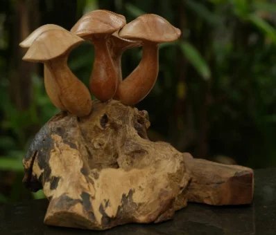 Button Mushroom