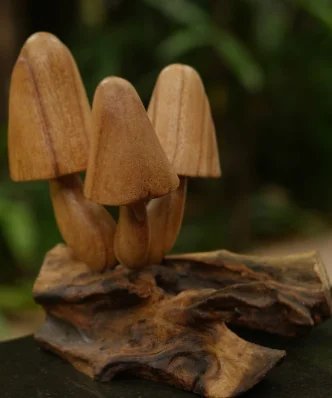 Mica Cap Mushroom