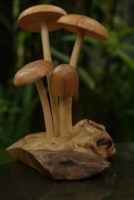 Plain Head Mushroom