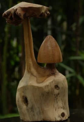 Tree Mushroom