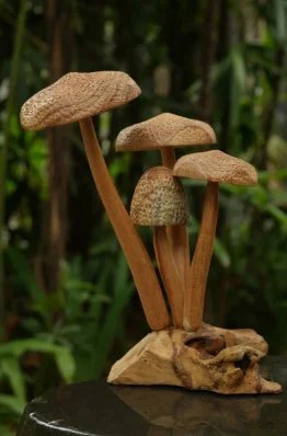 Dot Head Mushroom