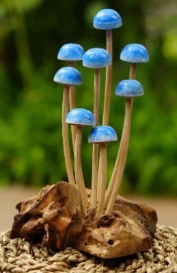 Blue Mushroom