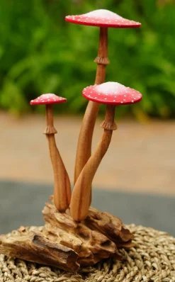 Oyster Mushroom