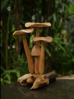 Mushroom, Natural