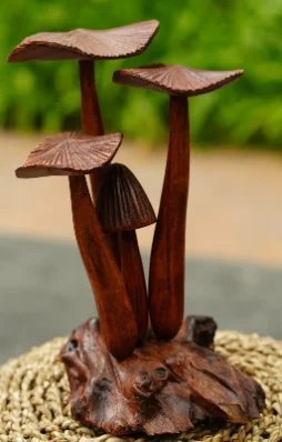Mushroom, Polished