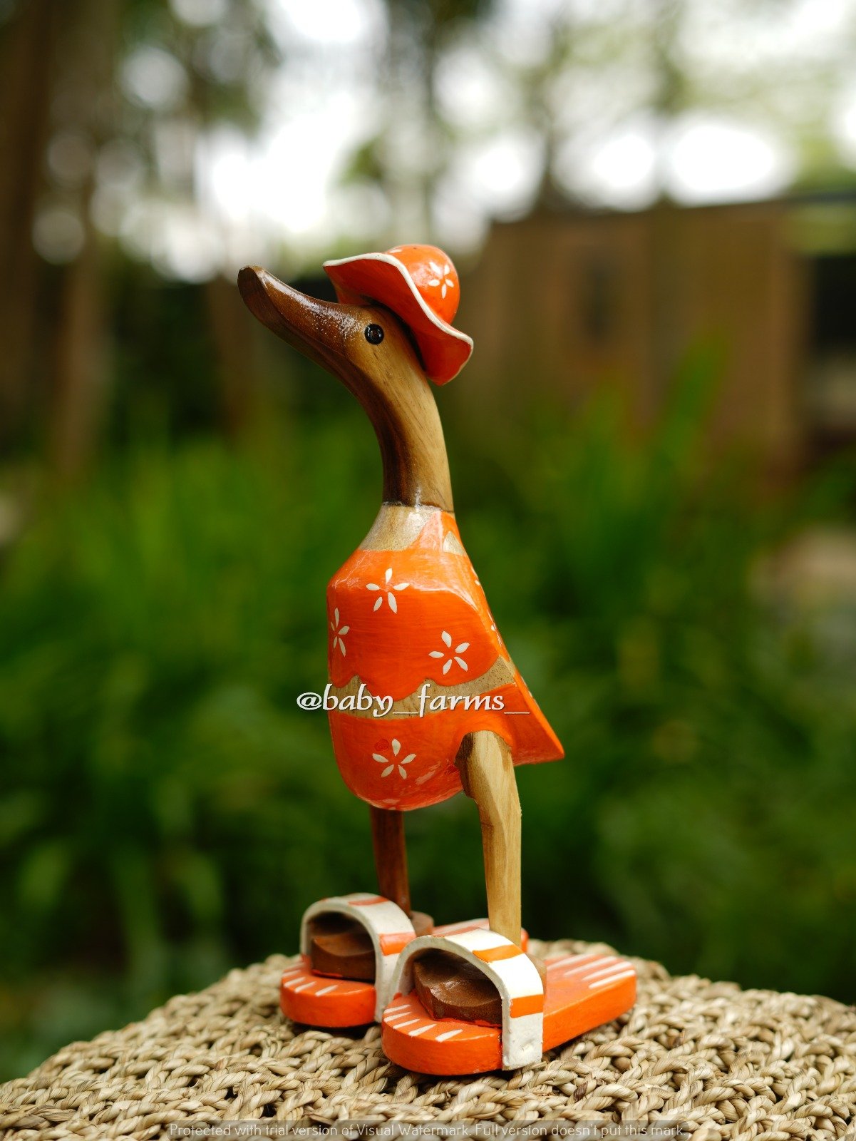 Printed Duck