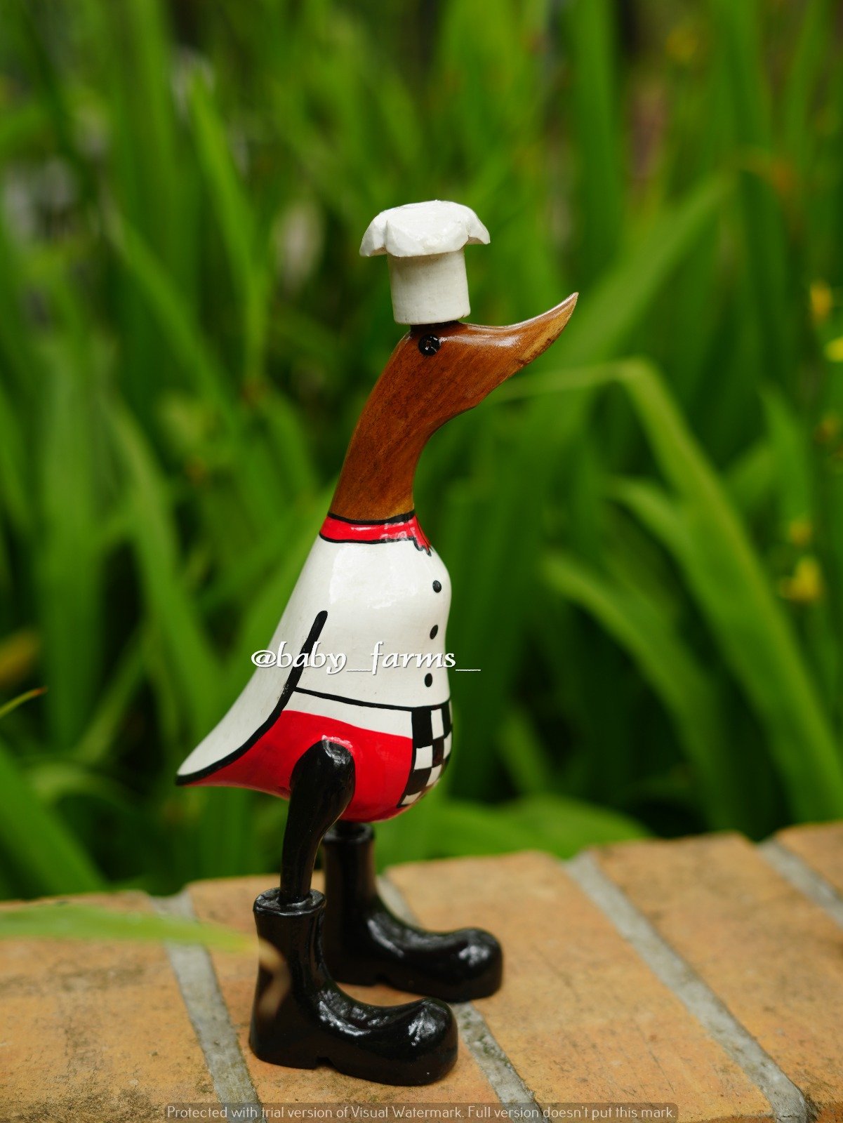 Printed Duck
