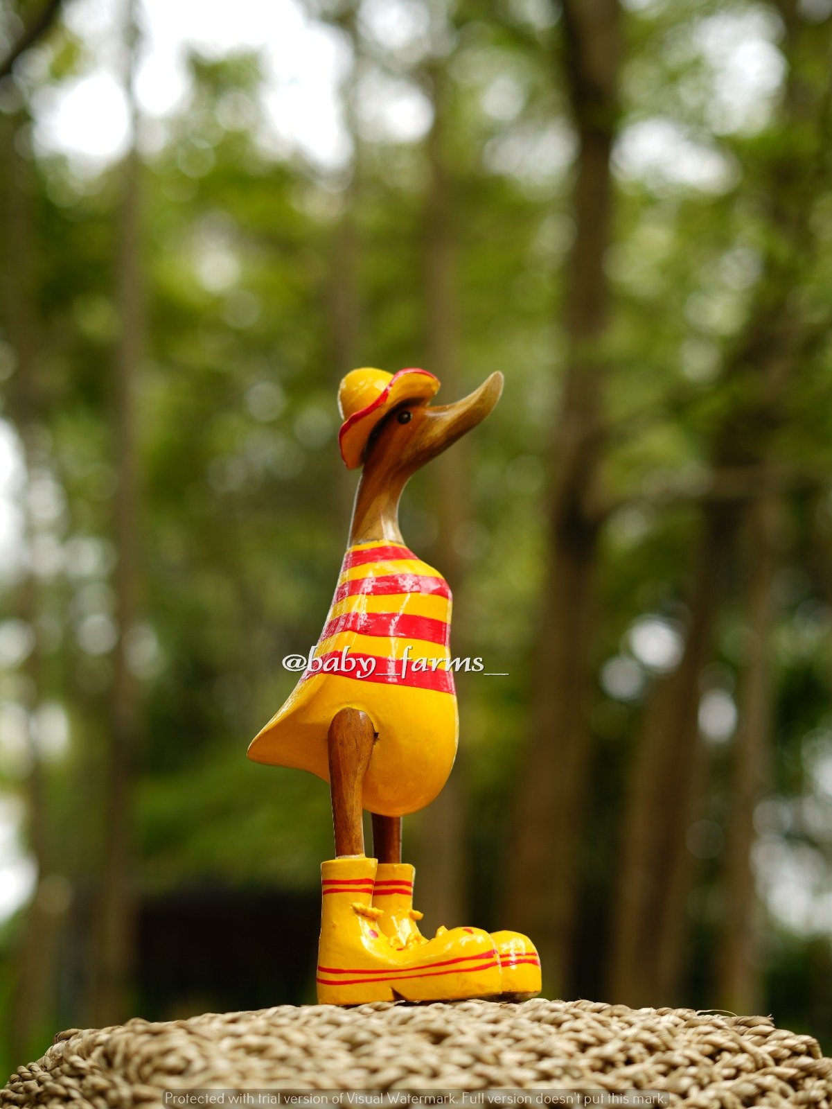 Printed Duck