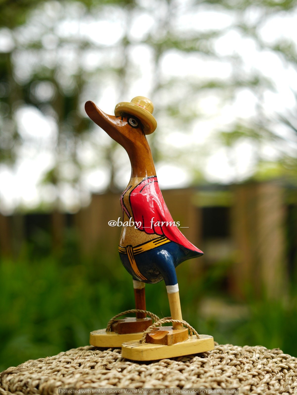 Printed Duck