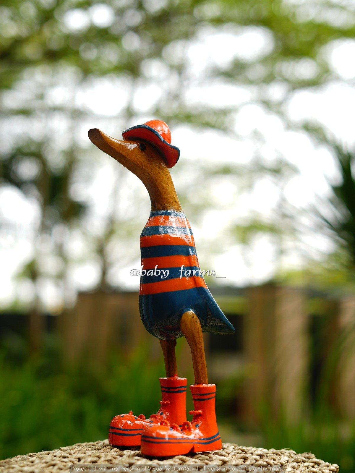 Printed Duck