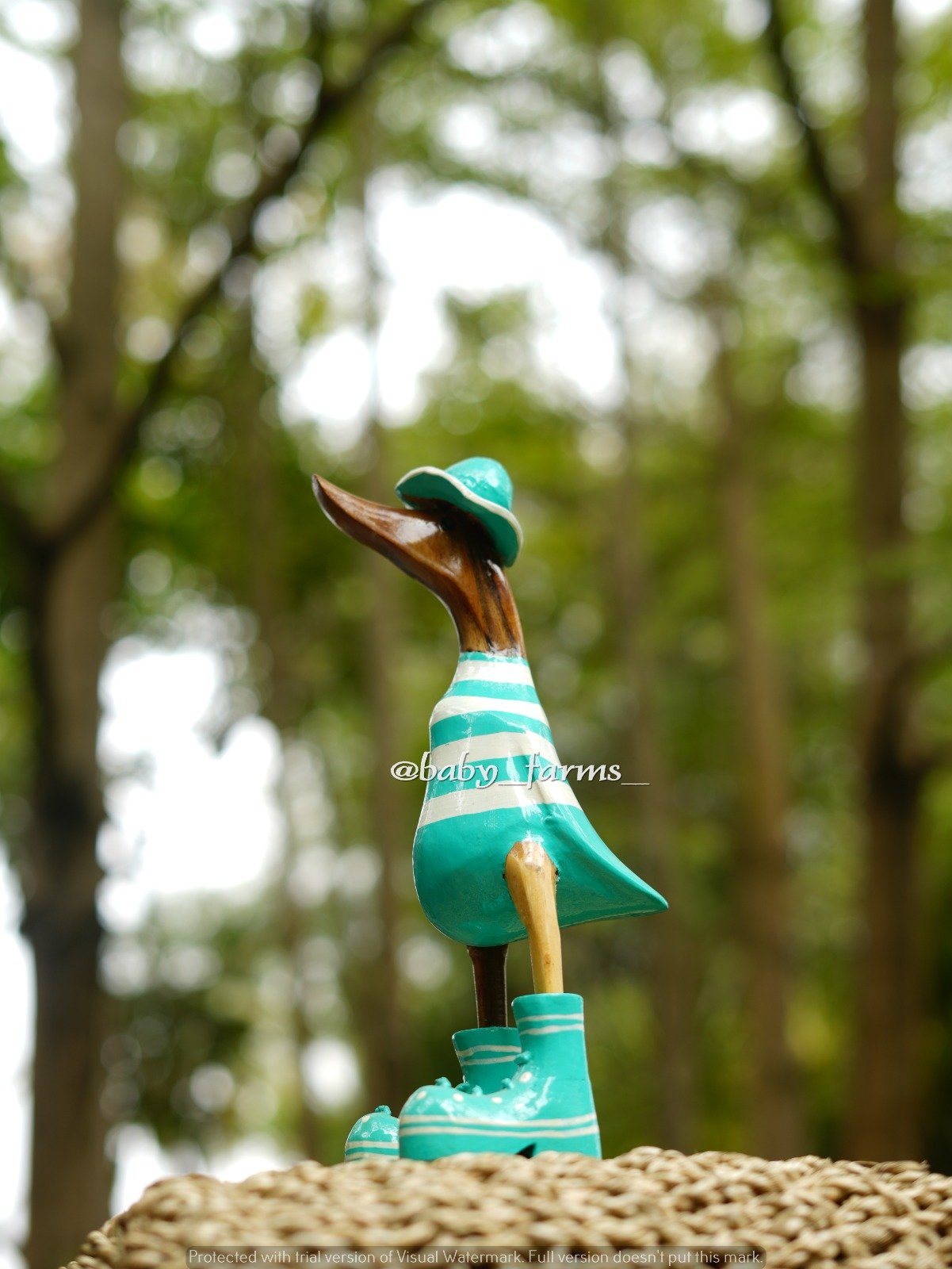 Printed Duck