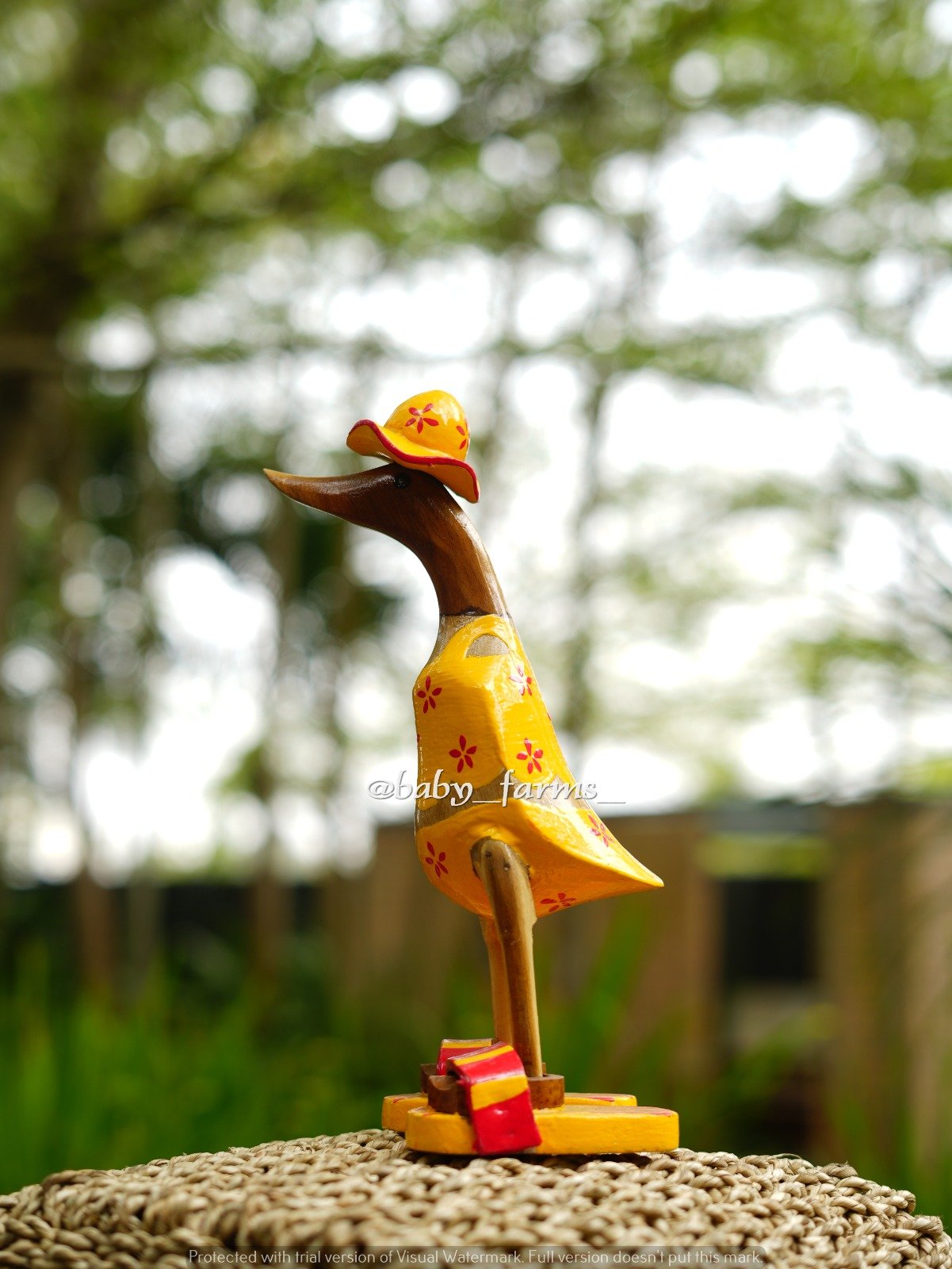 Printed Duck