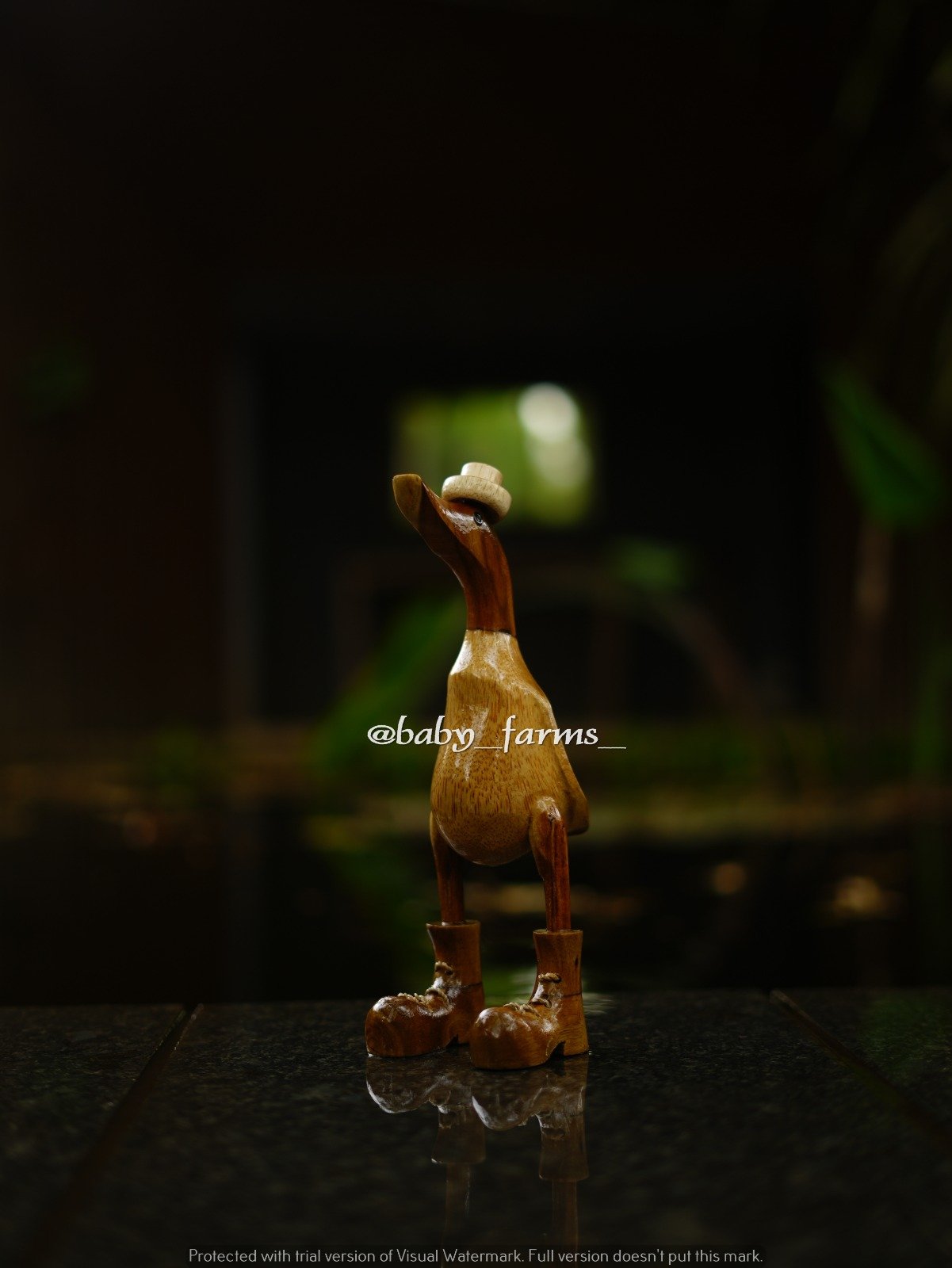 Plain Duck