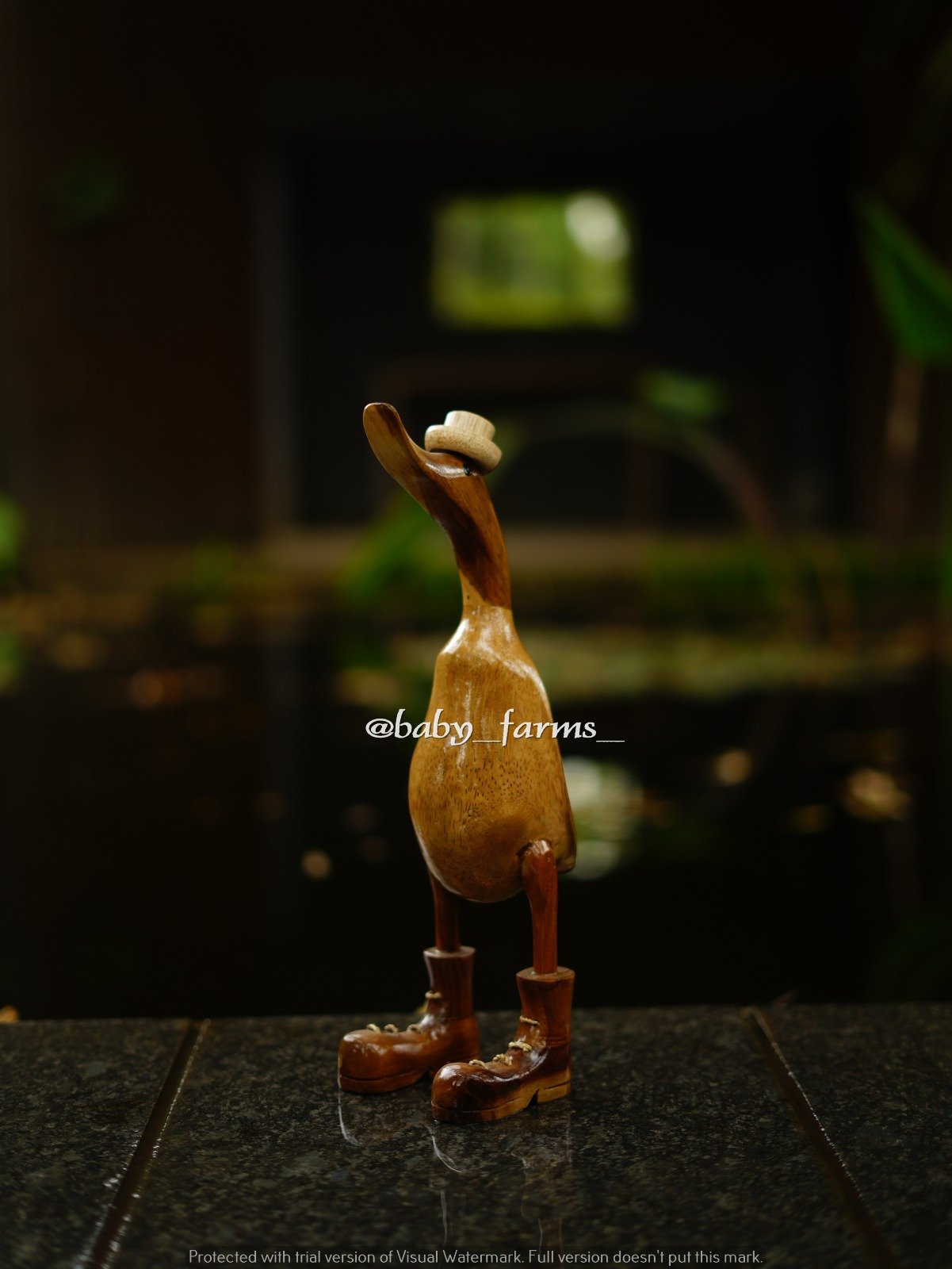 Plain Duck