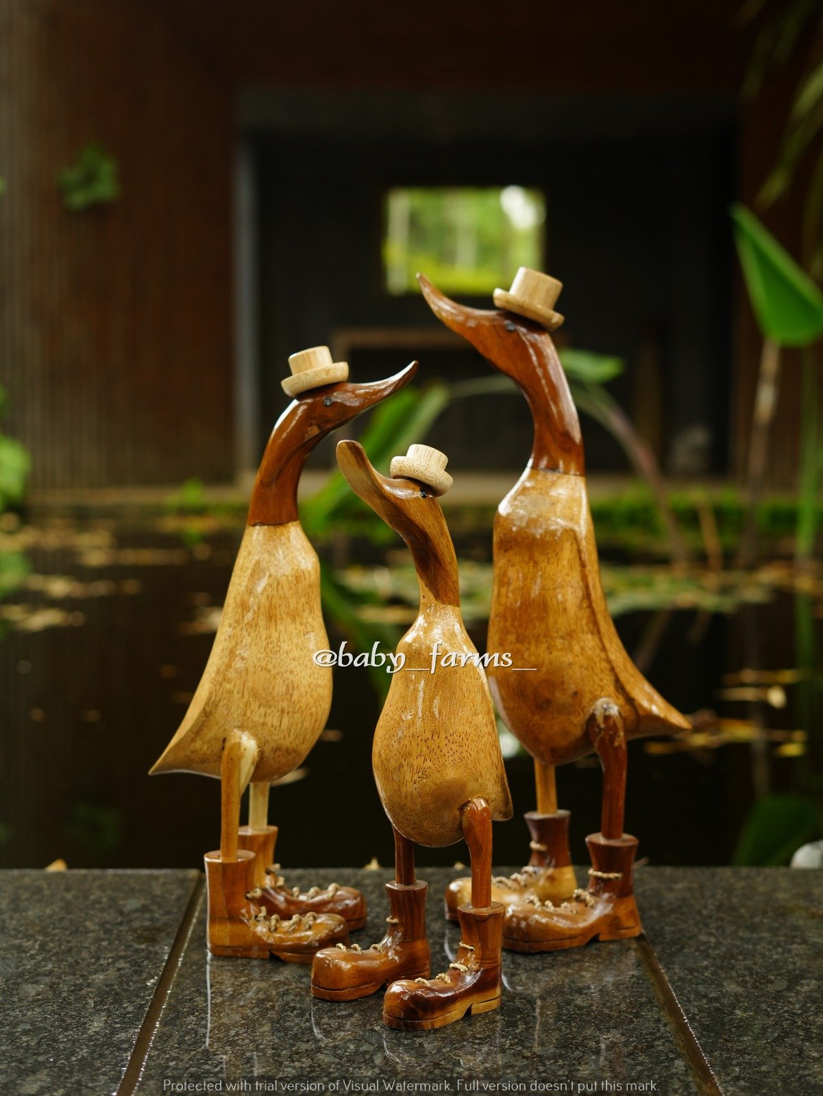 Plain Duck Set