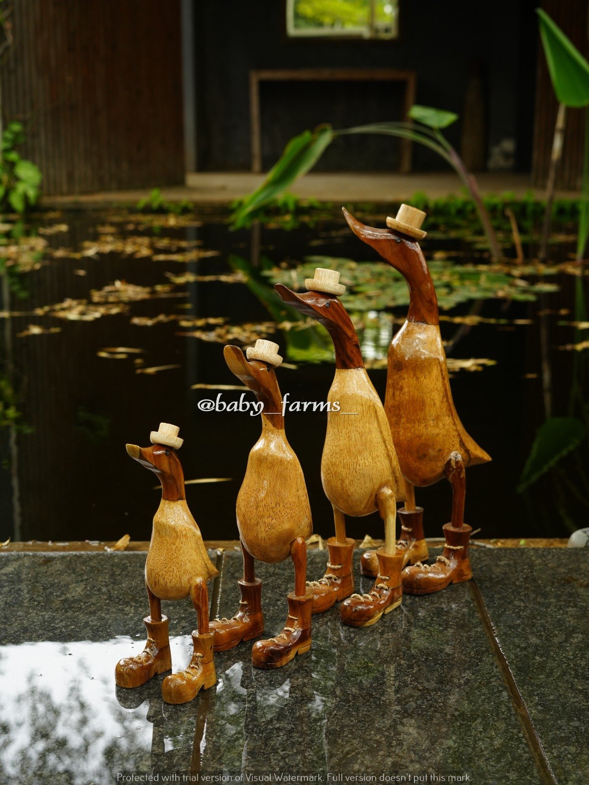 Plain Duck Set
