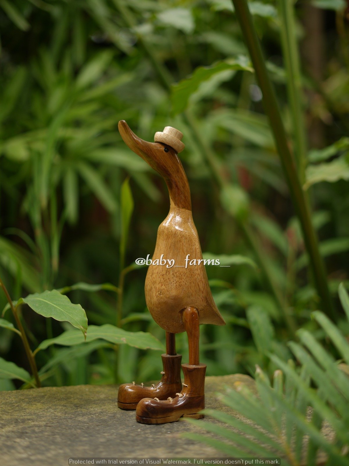 Plain Duck