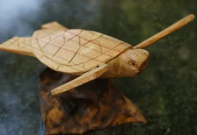 Tortoise with Stand