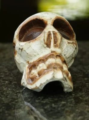 Wooden Skull