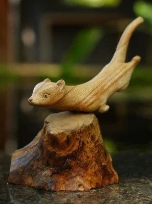 Ferret with Stand