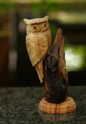 Owl + Stand