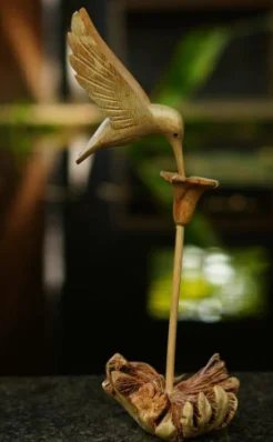 Humming Bird with Tulip Flower
