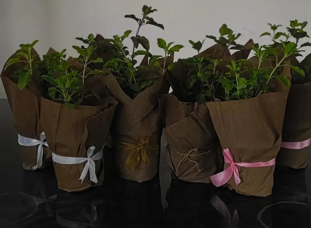 Wrapped sapling favors with ribbons