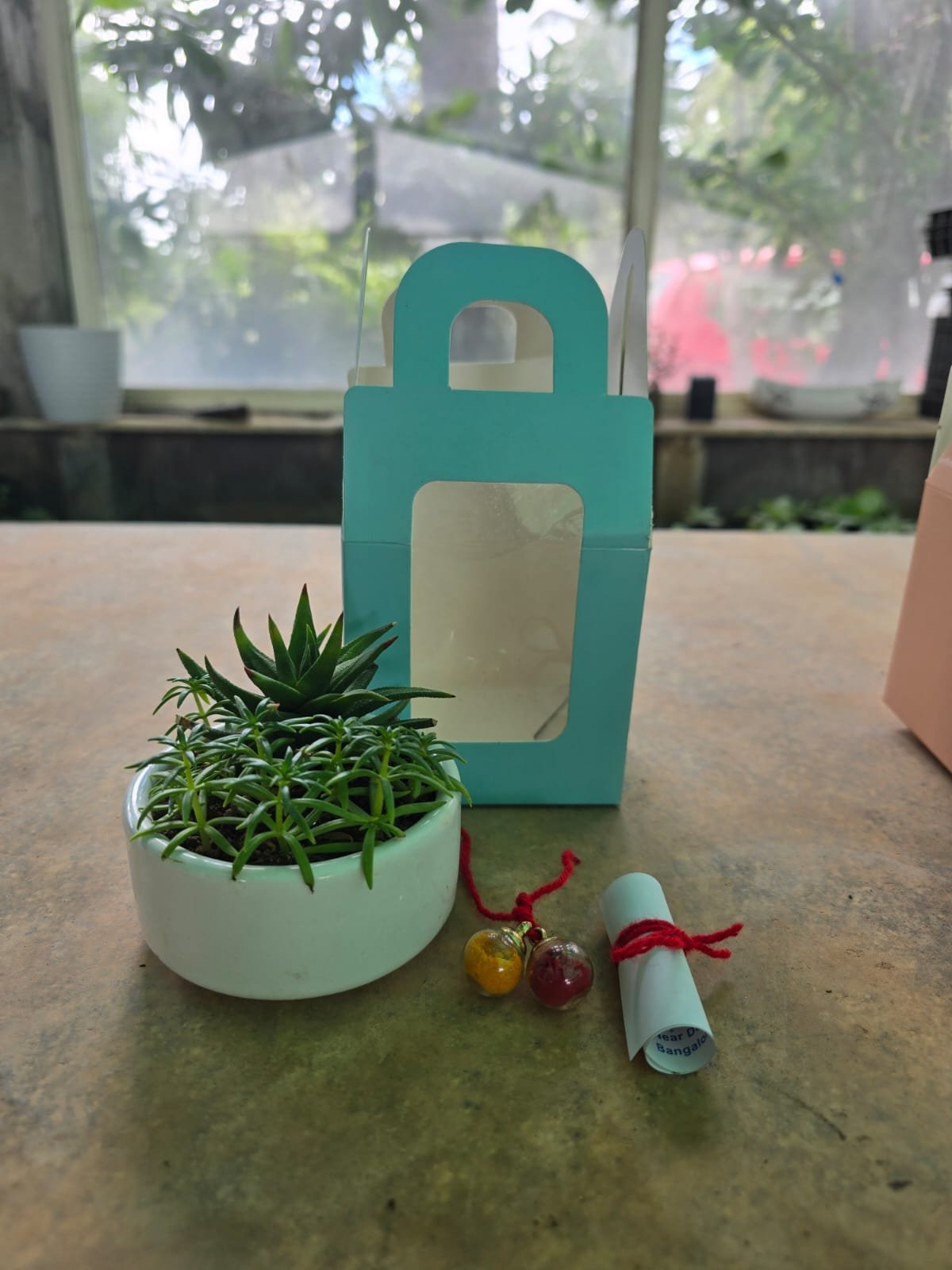 Potted succulent favor with charm tag